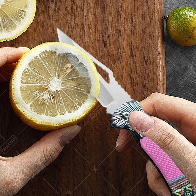 WXCOO Folding Knife Stainless  - Kitchen Handy Gadgets ulasan dan harga
